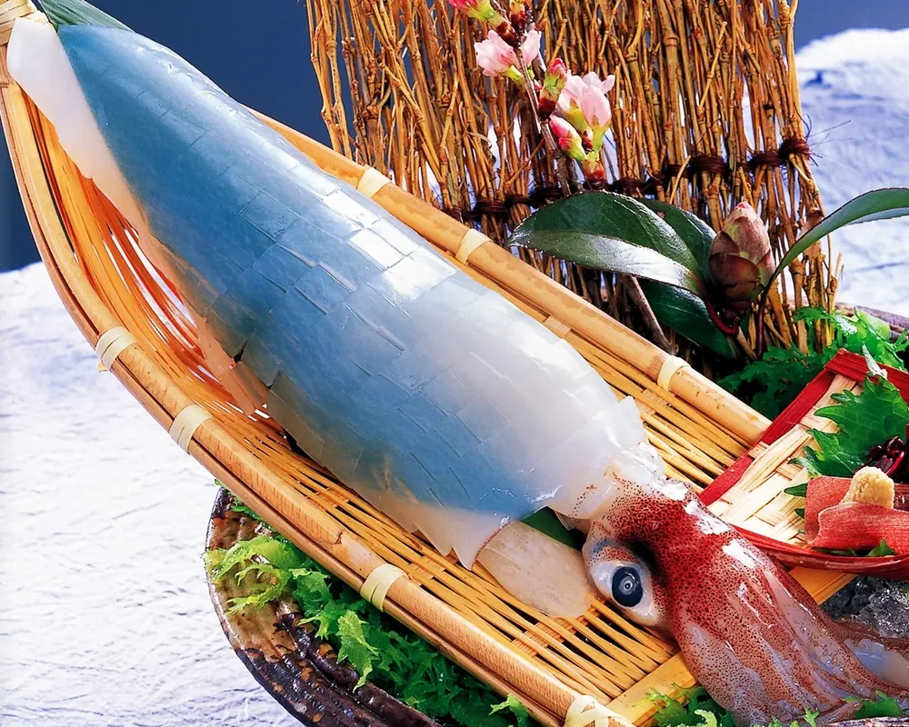 白身魚と烏賊の姿造り